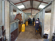 AK310322-87 - Alan King Stable Visit